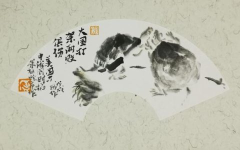 乌龟画法简笔画图片大全，乌龟画法简笔画图片大全_儿童简笔画