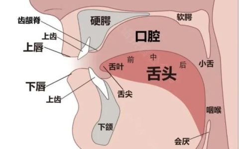 什么是平舌音什么是翘舌音拼音，什么是平舌音什么是翘舌音拼音怎么写