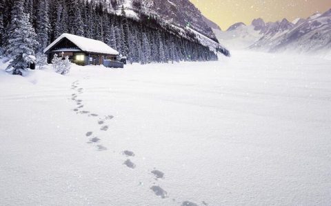 林冲风雪山神庙概括200字，林冲风雪山神庙概括200字左右