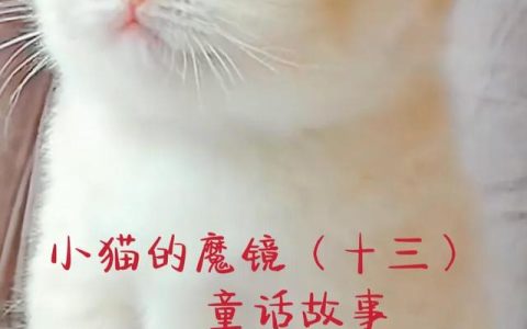 小猫的魔镜（童话故事）