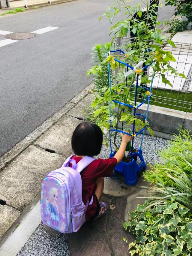 小学生二年级日记大全100字左右，小学生二年级日记大全100字左右2020年！