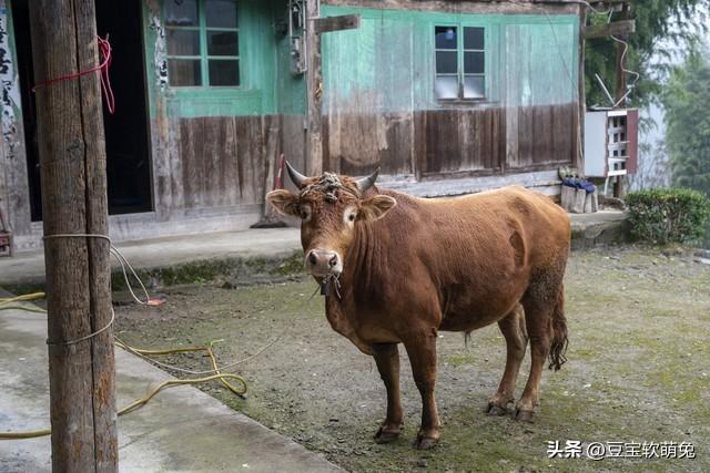 回忆儿时的记忆优美句子，儿时的记忆优美句子一下子涌上心头！