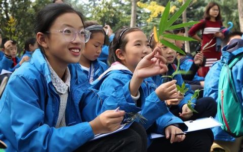 学历及工作简历怎么写，事业编报名学历及工作简历怎么写！