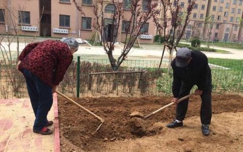 关于盼望的作文开头，关于盼望的作文开头和结尾