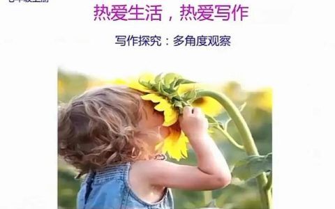 观察作文300字三年级，观察植物作文300字三年级