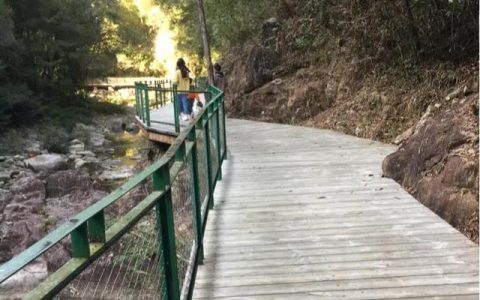 漫长的路寂寞的夜，漫长的路寂寞的夜在我心里面是张震岳什么歌