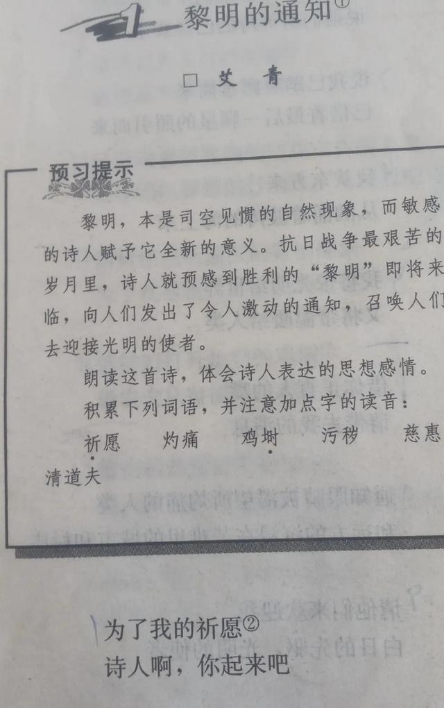 那些我们回不去的青春，那些我们回不去的青春小说