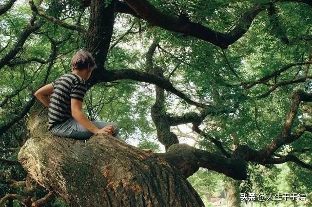 梦想旅行家，梦想旅行家电影