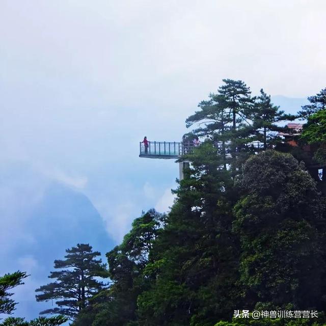 井冈山心得体会，井冈山红色旅游？