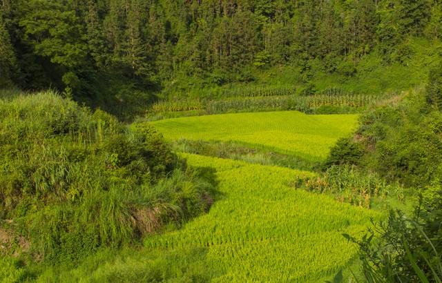 如何打造乡村旅游，乡村旅游发展策略？